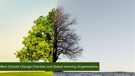 best environmental charity|global warming charities.